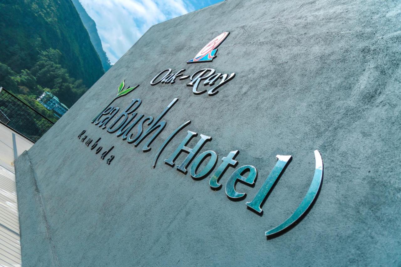 Hotel Oak Ray Tea Bush Ramboda Exteriér fotografie
